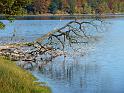 Neyetalsperre Herbst 2008 (51)